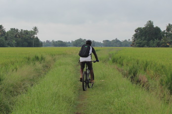 Kuttanad Rice Bowl By Cycle
