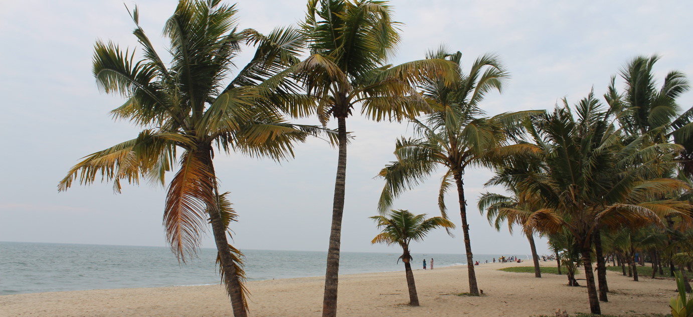 Sunset Ride @ Alappuzha Coast - Ride along the scenic beaches of Alappuzha